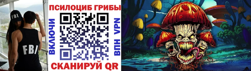 Псилоцибиновые грибы Psilocybine cubensis  Беслан 