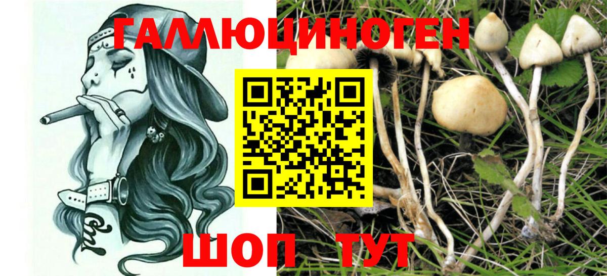 Беслан  цены   Вход с VPN  Псилоцибиновые грибы ЛСД 