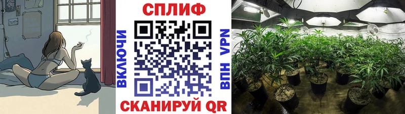 даркнет сайт  маркетплейс какой сайт  Бошки Шишки конопля  Беслан 